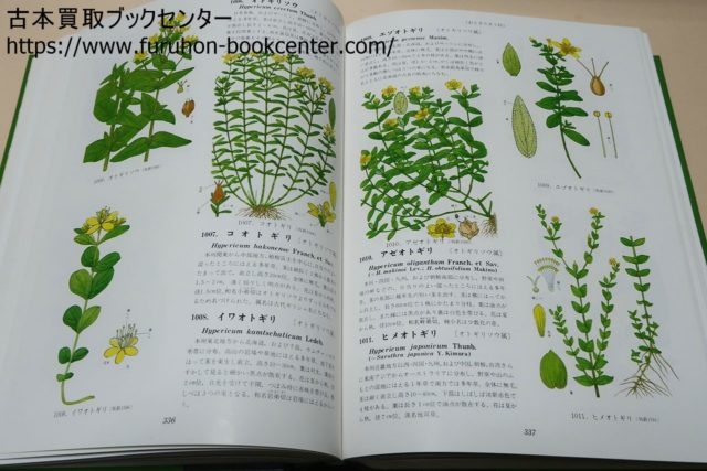 牧野 新日本植物図鑑 - 本