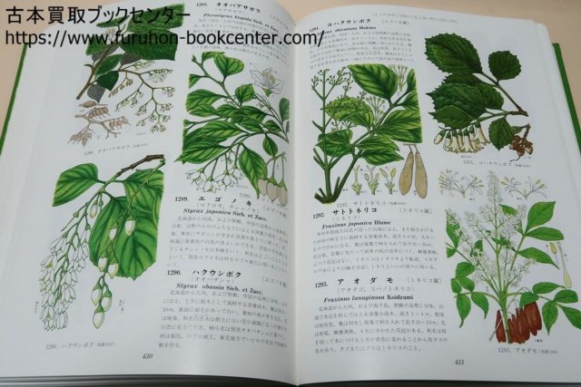 新分類 牧野日本植物図鑑 - その他